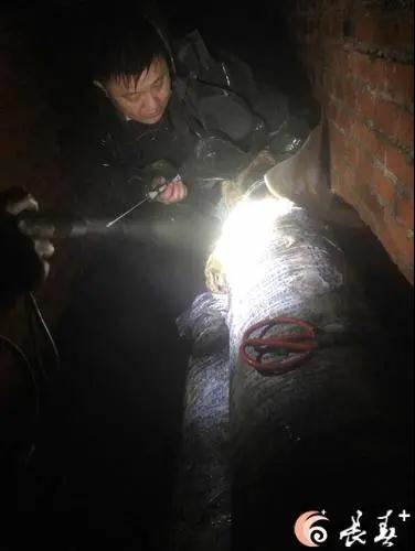 永乐高·(中国区)官方网站